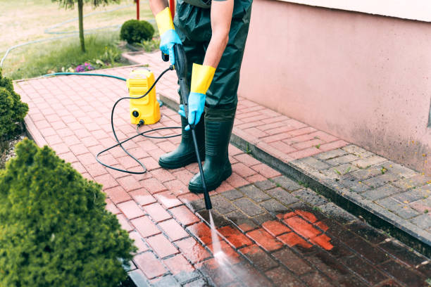 Best Restaurant Pressure Washing  in Elephant Butte, NM